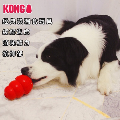 kong狗狗玩具美国耐咬抗抑郁葫芦