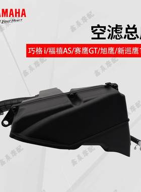 摩托车巧格i巡鹰125空滤总成