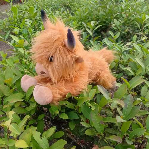 可爱现货长毛牛Highland Cow仿真苏格兰高地牛动物毛绒玩具公仔