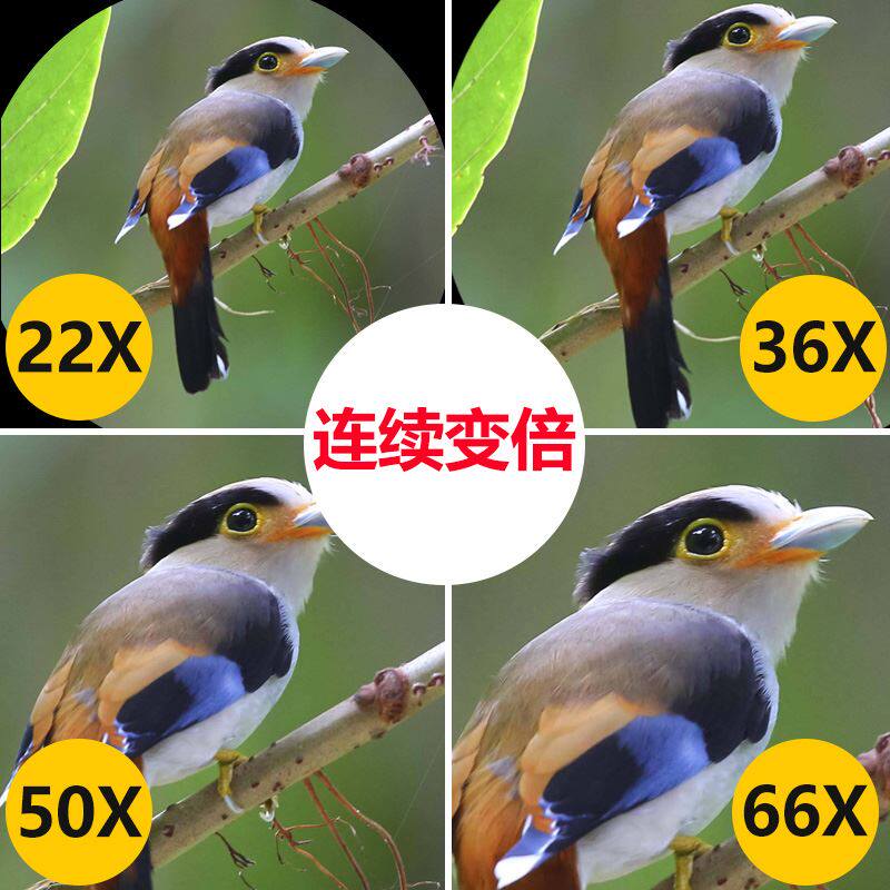 星特朗观鸟镜单筒望远镜高倍高清夜视手机拍照专业户外拍摄望眼镜