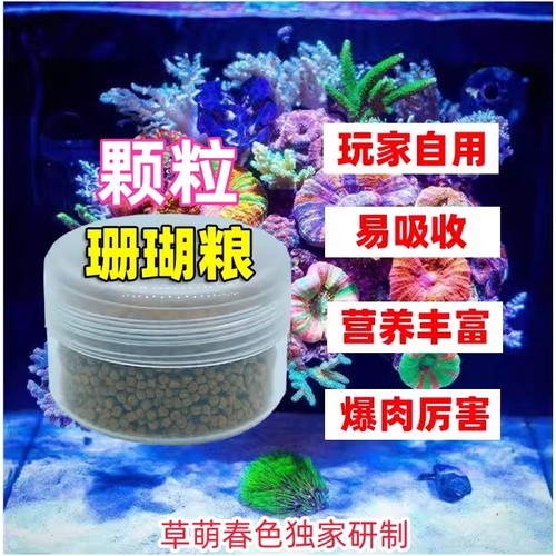 疯狂爆肉-海葵奶嘴炮仗花珊瑚粮