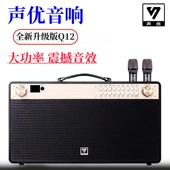声优Q12便携式 大功率户外K歌声卡直播蓝牙萨克斯电吹管乐器音响