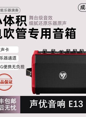新款声优E13电吹管二胡多功能便携户外音响乐器蓝牙专用手提音箱