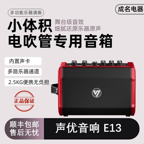 新款声优E13电吹管二胡多功能便携户外音响乐器蓝牙专用手提音箱