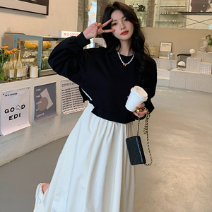 韩版拼接撞色假两件连衣裙春秋女装2025新款春装时尚气质长裙子冬图片