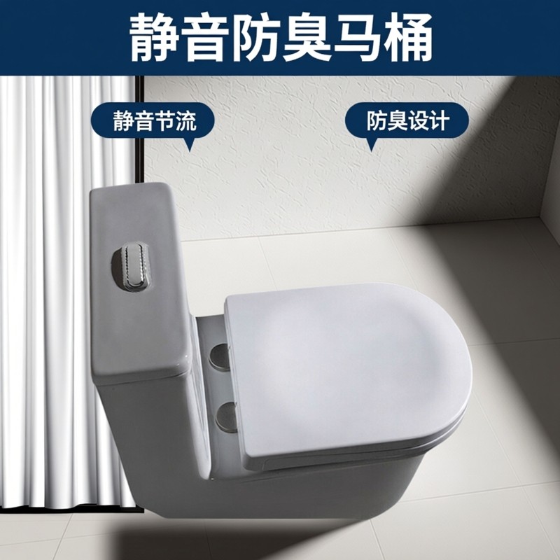 家用马桶蹲坐两用超漩虹吸式双用一体静音抽水防臭静音节