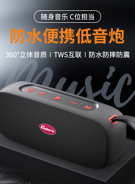 赛柏瑞斯S16蓝牙音响40W360度7级户外运动防水双喇叭立体声音箱
