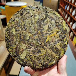 357克冰岛黄金叶普洱茶饼云南茶叶生茶老树茶纯料口粮茶随机包装