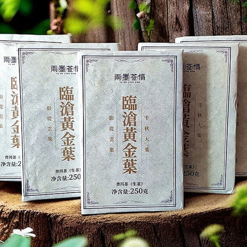 临沧黄金叶生茶砖云南普洱茶实惠