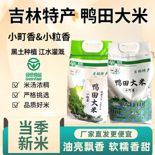 东北优质鸭田大米小粒香小町香香米熬粥馥白米新米纯正绿色无公害