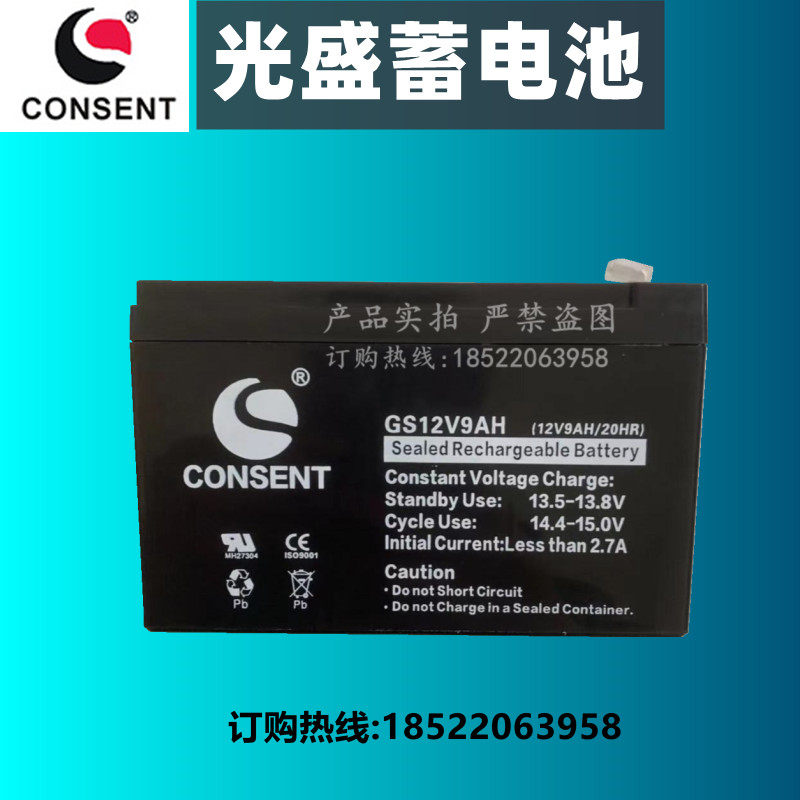 光盛CONSENT蓄电池GS12V9AH应急电源专用电梯音响电瓶船舶UPS照明 - 实物图