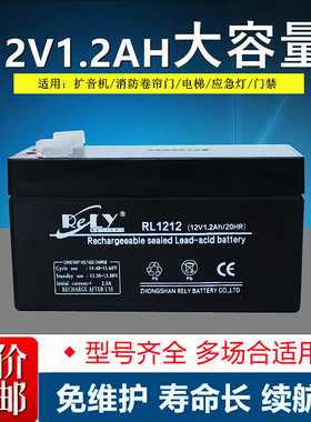 RELY电池 RL1212 12V1.2AH 仪器仪表 音响 邦华金业扩音机蓄电池