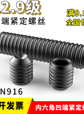 12.9级紧定螺丝m3m4m5m6m8x3x4x5x6x8x10x12x16x20无头机米DIN916
