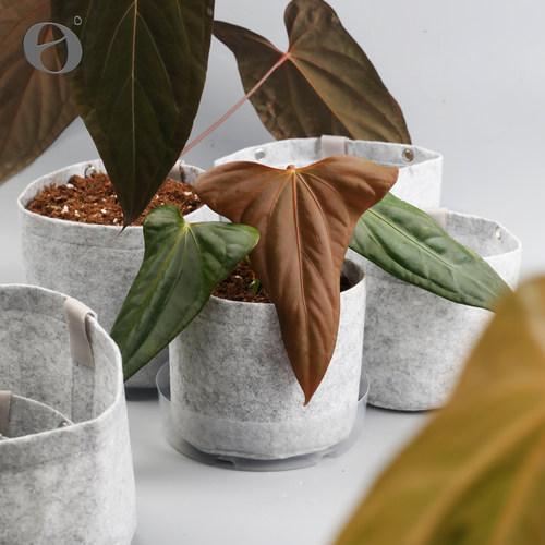 美植袋易换盆可壁挂透气透水