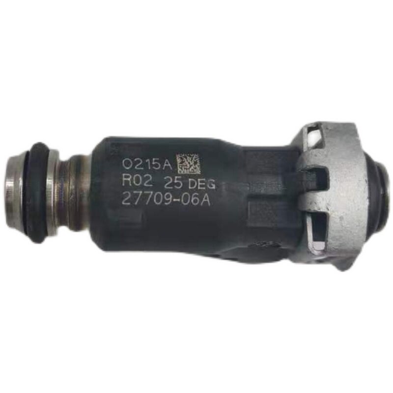 适用德尔福电喷系统小排量踏板跨骑摩托车6孔喷油嘴27709-06A黑色