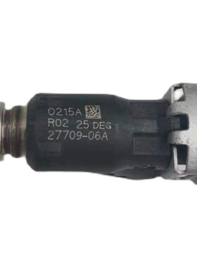 适用德尔福电喷系统小排量踏板跨骑摩托车6孔喷油嘴27709-06A黑色