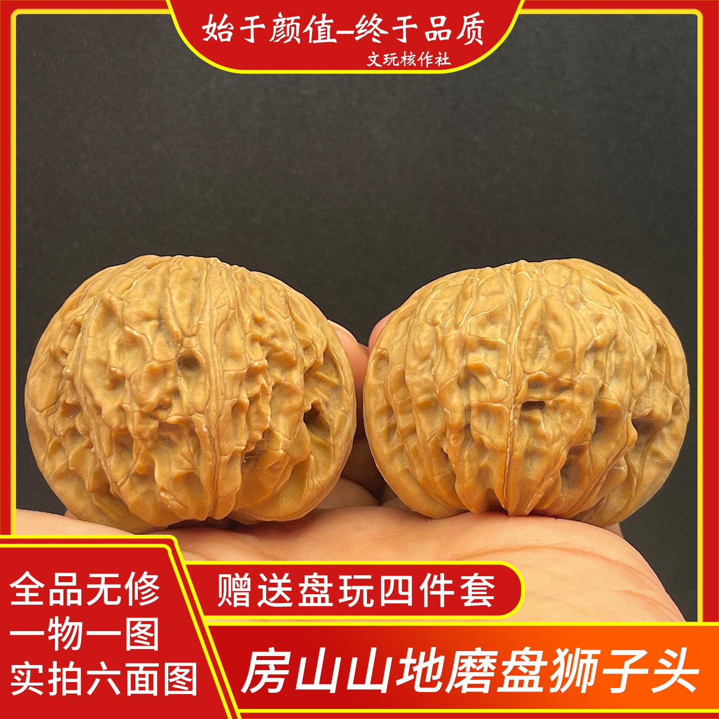 房山山地一代磨盘狮子头无药果
