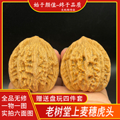 一物一图文玩核桃老树粗筋麦穗虎头堂上虎头全品无修原生态精品果