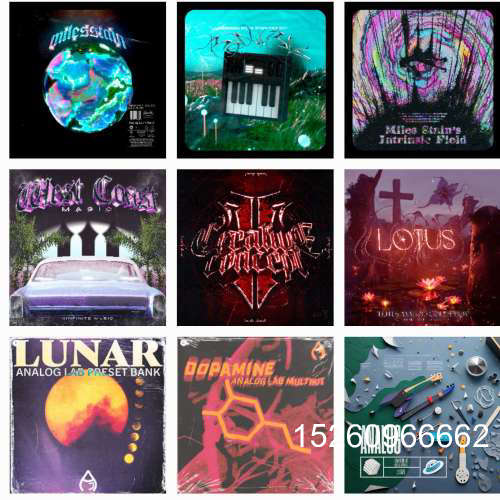 议价Analog lab v 预制合集  121个议价