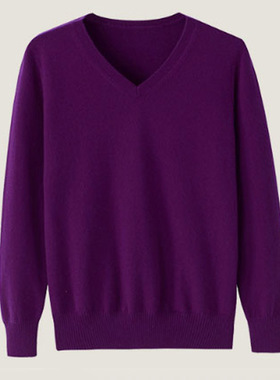 2020秋冬新品女装纯羊毛V领针织套头打底衫紫色简约休闲时髦毛衣