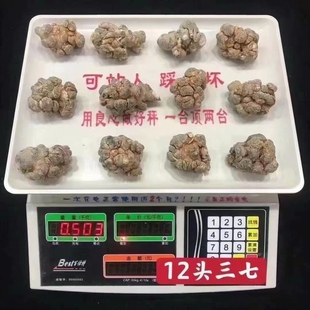 三七文山三七新货250克500克可帮切片磨三七粉云南三七田七整颗