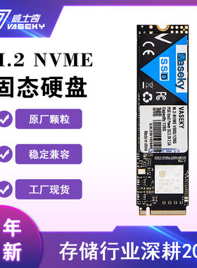 Vaseky威士奇M2NVMe512G高速PCIe