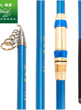 狼王海竿套装天域碳素抛组合垂钓