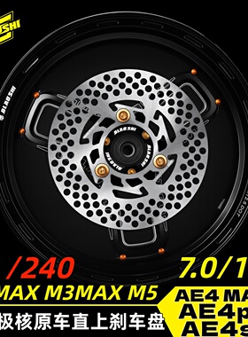 欧老师适用九号M3maxM5 MZmax 极核AE4max2 AE4se+原厂碟刹刹车盘