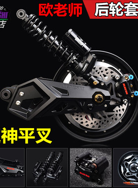 欧老师翼神平叉后轮套装适用九号E系直上E80C/E200P/M95C系改装