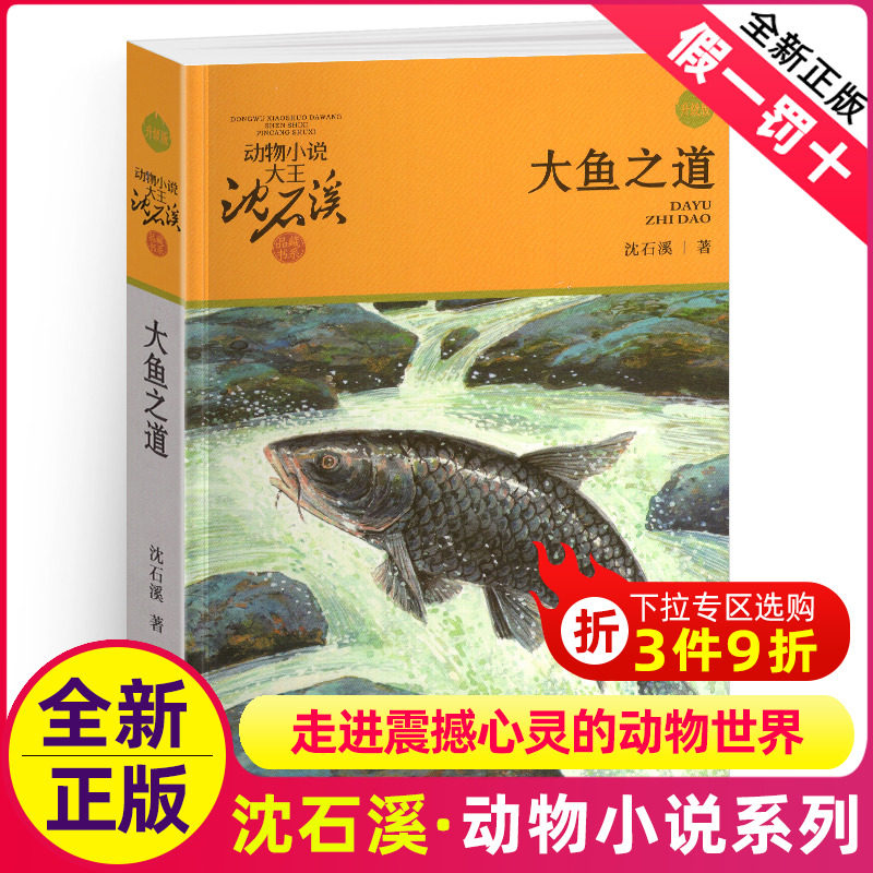 大鱼之道沈石溪正版小学四年级五年级全集全套书浙江少年儿童出版社非