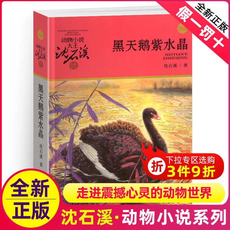 黑天鹅紫水晶沈石溪正版小学四年级五年级全集全套书浙江少年儿童出版社版完整版动物小说大王品藏书系生课外阅读经典书非注音