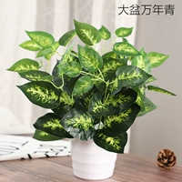 Большая ручка Wannian