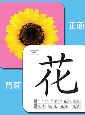 【撕不烂】【0-3岁】幼儿早教卡