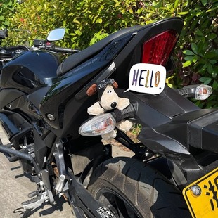 适用春风250sr摩托车尾转向灯国宾650狒狒125公仔玩偶挂件装饰品