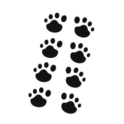小狗引擎盖车身贴猫爪印
