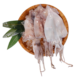 大洋世家 船冻阿根廷鱿鱼大个海鲜新鲜冷冻水产250g