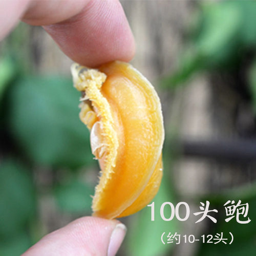 福建淡晒鲍鱼干 50g（约10-12头）