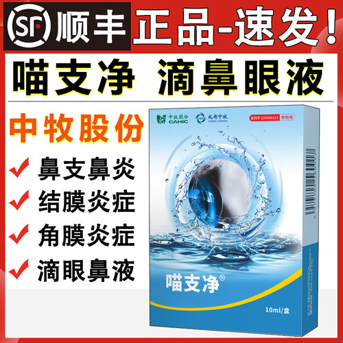 喵支净滴眼液猫鼻支治疗滴鼻液鼻炎结膜炎角膜炎猫眼睛发炎眼药水