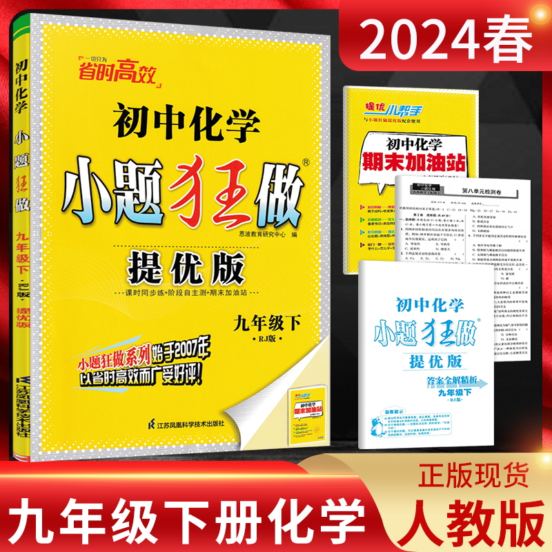 小题狂做化学九年级下册人教版