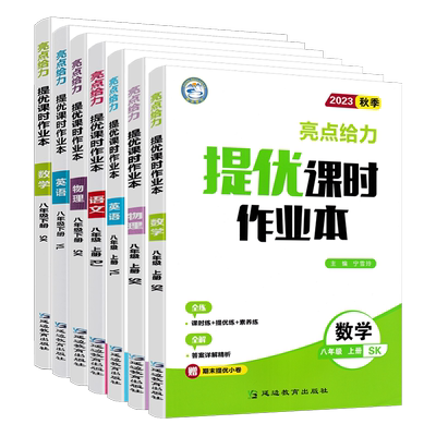 2025版亮点给力提优课时作业本