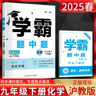 学霸题中题九年级化学下册沪教版