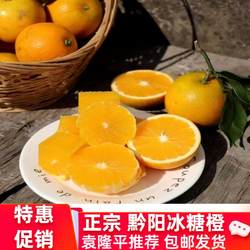 袁隆平推介正宗湖南洪江黔阳冰糖橙高山果园种植怀化果本源冰糖柑