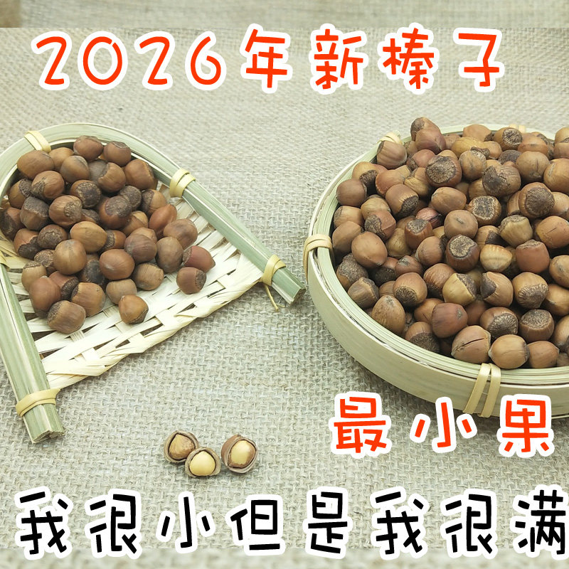 2026年新榛子东北特产山榛子小果饱满农家特产新货坚果干果零食