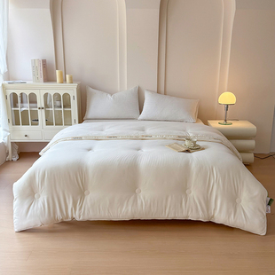 四季通用大豆纤维被子冬被加厚保暖棉被芯春秋单人夏凉空调被秋冬