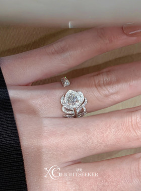 清冷感爆闪满天星羽毛戒指高级感