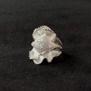 重工银色拉丝细闪裙边戒指女款独特小众设计指环轻奢高级感食指戒