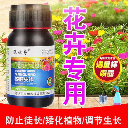 菊花水仙花卉通用矮胖素
