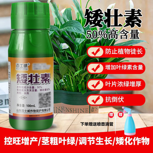 矮壮剂植物矮壮素菊花水仙花百合长寿花兰花多肉蔬菜矮胖素调节剂