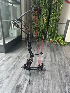 雷瓦侬2025盘古复合弓滑轮弓非两用纯射箭专用高端复合猎弓