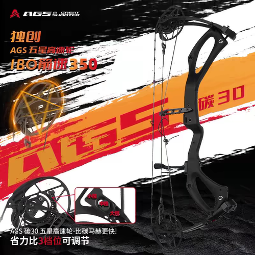 射手碳30复合弓箭高精度射箭碳弓非碳马赫马修斯PSE牛头801